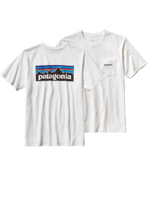 Patagonia P6 Pocket T White